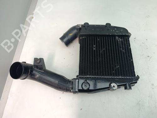 Intercooler Intercooler NISSAN GT-R (R35) [2007-2026] 36981498 36981498