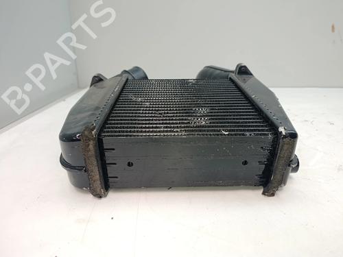Intercooler NISSAN GT-R (R35) | BP36981498M30 - Image 4