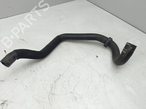 Rør Rør CITROËN C3 II (SC_) [2009-2026] 36981814 36981814