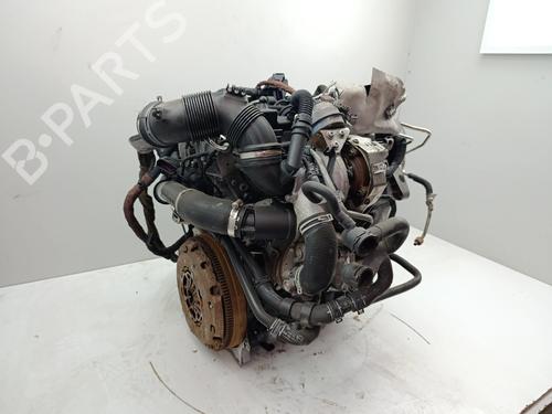 Engine VW GOLF VII (5G1, BQ1, BE1, BE2) 1.6 TDI | BP36983030M1 - Image 3