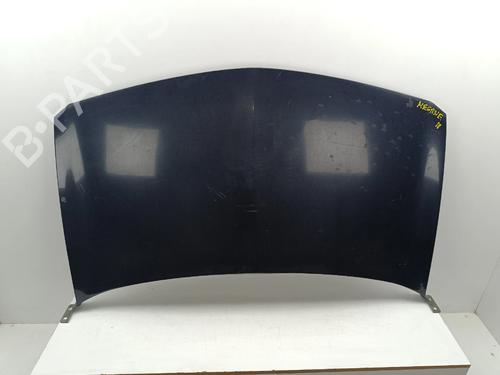 Panser Panser RENAULT MEGANE II (BM0/1_, CM0/1_) [2001-2012] 36983303 36983303