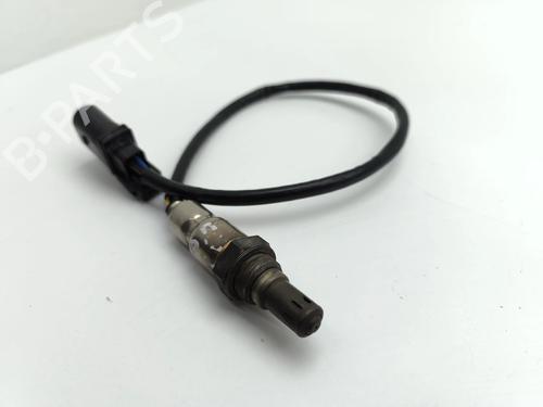Sonda eletrónica Sonda eletrónica 36983307 36983307