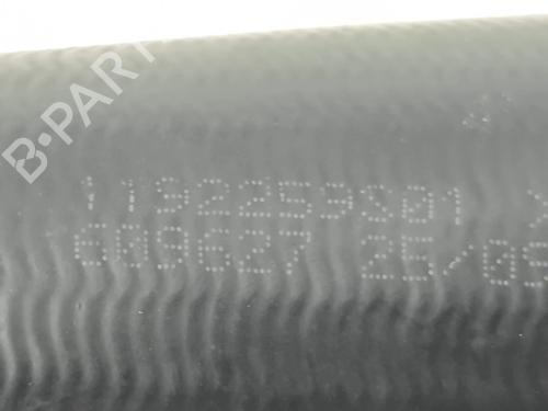 Pipe NISSAN MICRA V (K14) | BP37219907M125 - Image 3