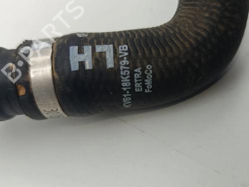 Pipe FORD TRANSIT CONNECT MPV 1.5 EcoBlue | BP37448394M125 - Image 6