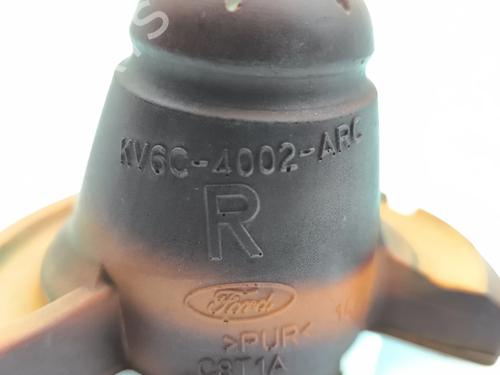 Shock absorber spring FORD TRANSIT CONNECT MPV 1.5 EcoBlue | BP37488430C152 - Image 5