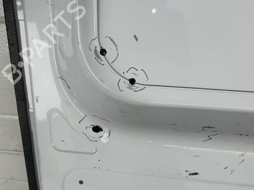 Left tailgate RENAULT MASTER III Van (FV)  | BP37698990C76  - Image 10
