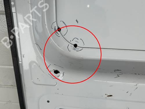Left tailgate RENAULT MASTER III Van (FV)  | BP37698990C76  - Image 12