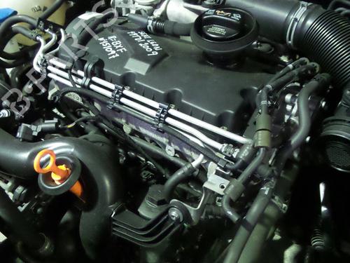 Motor SEAT LEON (1P1) 1.9 TDI | BP3485240M1