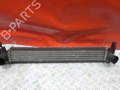 Intercooler VW POLO V (6R1, 6C1) [2009-2022]  3475328