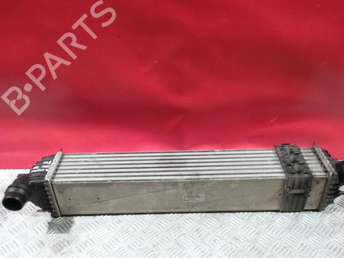 Used Intercooler RENAULT LAGUNA III (BT0/1) 2.0 dCi (BT01, BT08, BT09, BT0E, BT0K, BT12, BT1C, BT1D,... (150 hp) 3476175