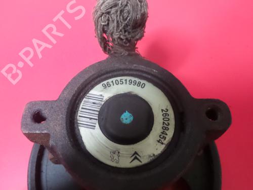 Steering pump PEUGEOT 306 Convertible (7D, N3, N5) 1.6 | BP3971760M99
