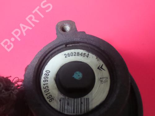 Steering pump PEUGEOT 306 Convertible (7D, N3, N5) 1.6 | BP3971760M99