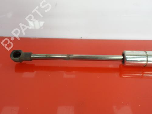Ammortizzatore cofano anteriore VW PHAETON (3D1, 3D2, 3D3, 3D4, 3D6, 3D7, 3D8, 3D9) 3.2 V6 4motion | BP14391516C139 