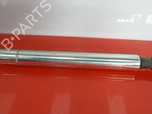 Ammortizzatore cofano anteriore VW PHAETON (3D1, 3D2, 3D3, 3D4, 3D6, 3D7, 3D8, 3D9) 3.2 V6 4motion | BP14391516C139 