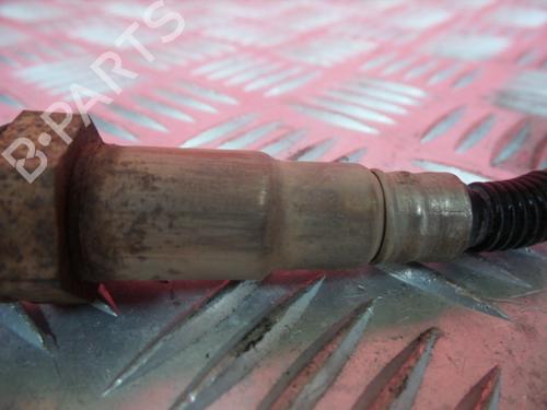 Elektronische sonde FORD FOCUS II (DA_, HCP, DP) 1.6 | BP3987565M84