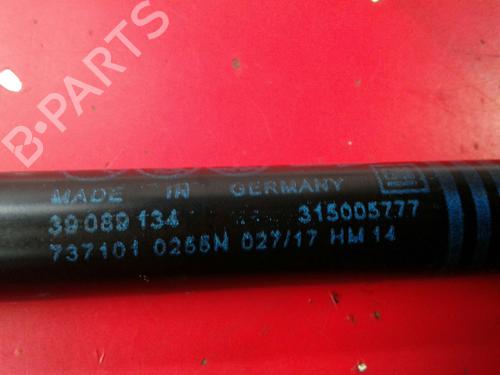 Tailgate lift support OPEL CORSA E Hatchback Van (X15) 1.3 CDTI (08) | BP14392537C138 