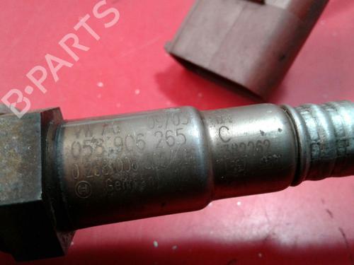 Elektronensonde AUDI A4 B6 (8E2)  | BP4905982M84 