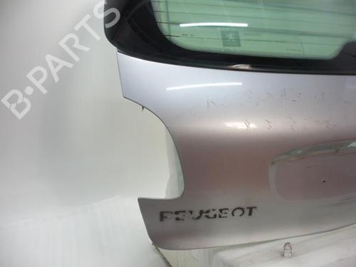 Bagklap CC/Kombi-Coupé PEUGEOT 206 Hatchback (2A/C)  | BP6539943C6