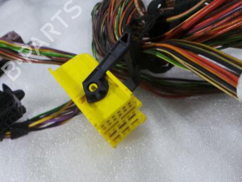 Wiring harness MERCEDES-BENZ S-CLASS (W221, V221) S 350 BlueTec (221.026, 221.126) | BP14394375E16 