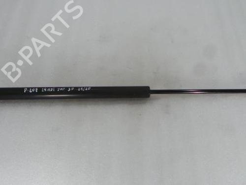 Tailgate lift support PEUGEOT 207 Hatchback Van (WA_, WC_) 1.4 HDi 9650780480  