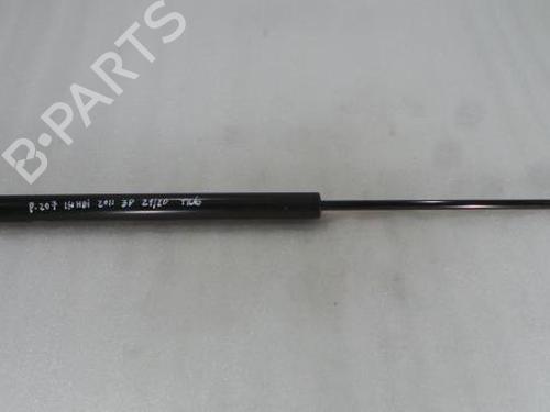 Tailgate lift support PEUGEOT 207 Hatchback Van (WA_, WC_) 1.4 HDi 9650780480  