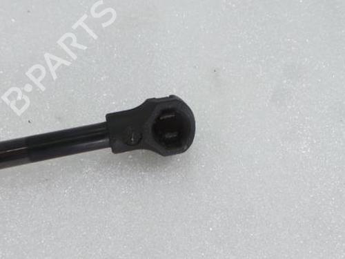 Tailgate lift support PEUGEOT 207 Hatchback Van (WA_, WC_) 1.4 HDi | BP14394447C138 