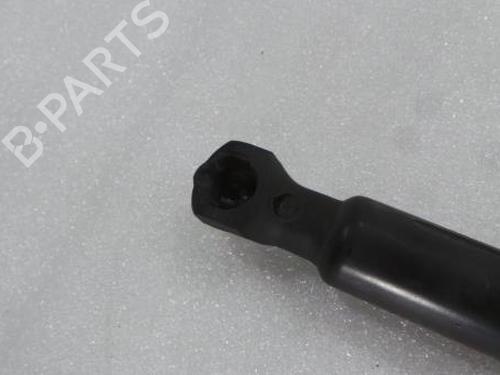 Tailgate lift support PEUGEOT 207 Hatchback Van (WA_, WC_) 1.4 HDi | BP14394447C138 