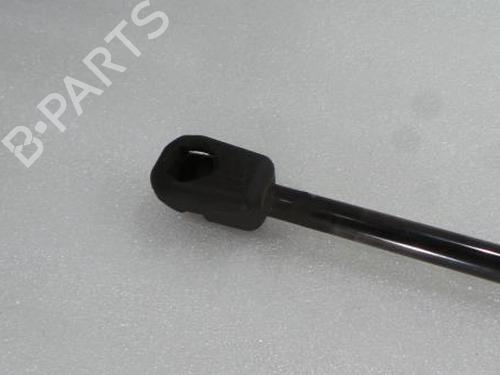 Tailgate lift support NISSAN MURANO I (Z50) 3.5 4x4 | BP14394574C138 