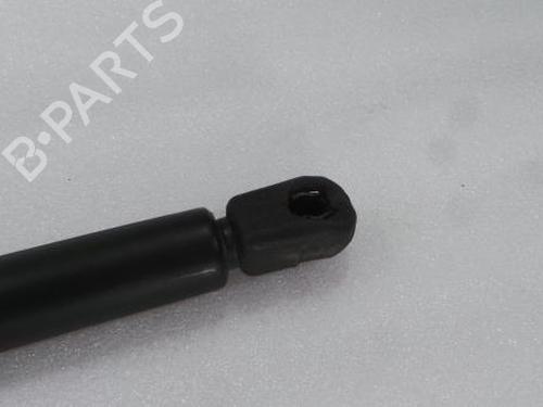Tailgate lift support NISSAN MURANO I (Z50) 3.5 4x4 | BP14394574C138 