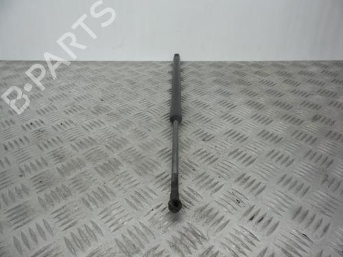 Tailgate lift support VW SHARAN (7N1, 7N2) 2.0 TDI 7N082755004S