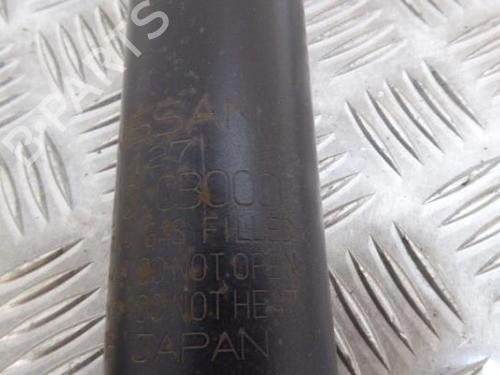 Right rear shock absorber NISSAN MURANO I (Z50) 3.5 4x4 | BP8169846M19 