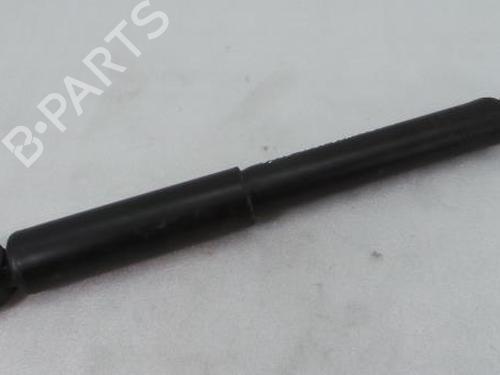 Left rear shock absorber VW TRANSPORTER T6 / CARAVELLE T6 Bus (SGB, SGJ, SHB, SHJ) 2.0 TDI | BP8644077M18 