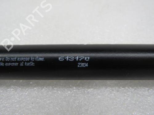 Tailgate lift support TOYOTA AVENSIS Estate (_T27_) 2.0 D-4D (ADT270_, ADT270R) | BP20175110C138 