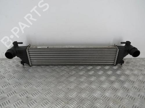 Intercooler FIAT TIPO Hatchback (356_, 357_) 1.3 D (356HXH1A) (95 hp) 28481866