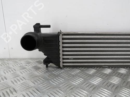 Intercooler FIAT TIPO Hatchback (356_, 357_) 1.3 D (356HXH1A) | BP28481866M30 