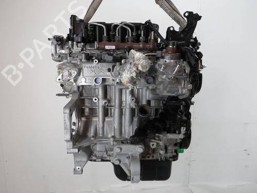 Engine PEUGEOT 208 II (UB_, UP_, UW_, UJ_) 1.5 BlueHDI 100 | BP29149210M1