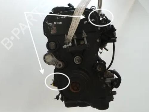 Motor FORD TRANSIT V363 Van (FCD, FDD) 2.2 TDCi (155 hp) 8003369