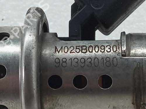 Injector PEUGEOT 208 II (UB_, UP_, UW_, UJ_) 1.5 BlueHDI 100 | BP29506293M100 