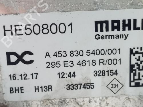 Electronic module SMART FORTWO Coupe (453) electric drive (453.391) | BP29607212M83