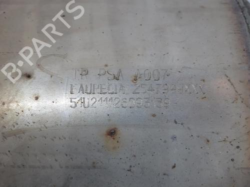 Catalyst CITROËN C3 III (SX) 1.5 BlueHDi 100 (SXYHYP, SXYHTU) | BP29970844M10 