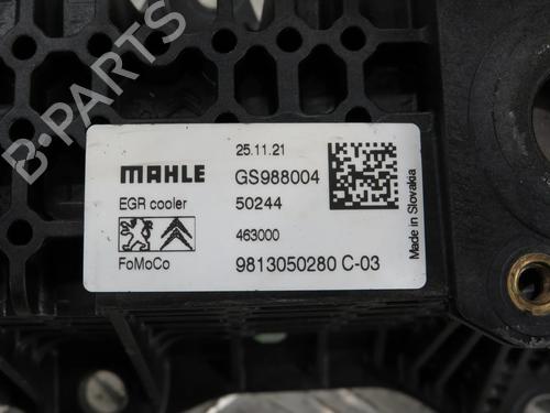 Egr CITROËN C3 III (SX) 1.5 BlueHDi 100 (SXYHYP, SXYHTU) | BP29995964M69 