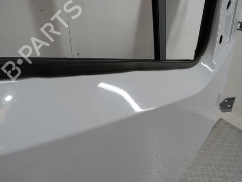 Right front door RENAULT MASTER III Van (FV) 2.3 dCi 135 FWD (FV0N, FV08, FV06, FV00, FV1S) | BP30135759C3 