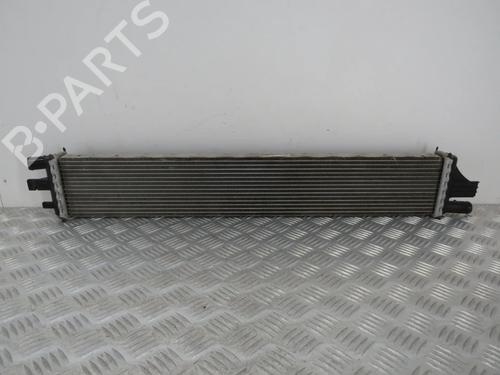 Køler RENAULT MASTER III Van (FV) 2.3 dCi 135 FWD (FV0N, FV08, FV06, FV00, FV1S) (136 hp) 30158986