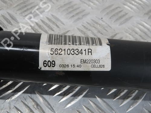 Right rear shock absorber RENAULT MEGANE IV Grandtour (K9A/M/N_) 1.5 dCi 110 | BP30159021M19 