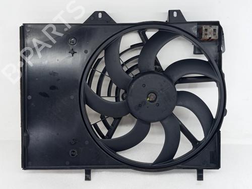 Used Radiator fan PEUGEOT 208 I (CA_, CC_) 1.6 HDi / BlueHDi 75 (75 hp) 30734059
