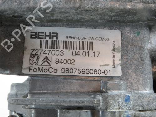 Egr CITROËN JUMPER II Van 2.0 BlueHDi 130 | BP31313677M69 