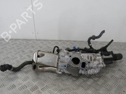 Egr FIAT TIPO Hatchback (356_, 357_) 1.6 D (356HXG1B, 356HXG11) (120 hp) 31335812