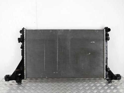 Used Water radiator RENAULT MASTER III Van (FV) 2.3 dCi 135 FWD (FV0N, FV08, FV06, FV00, FV1S) (136 hp) 32167677