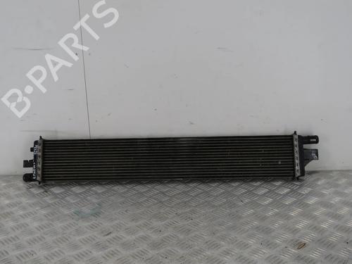 Used Water radiator RENAULT MASTER III Van (FV) 2.3 dCi 135 FWD (FV0N, FV08, FV06, FV00, FV1S) (136 hp) 32167679