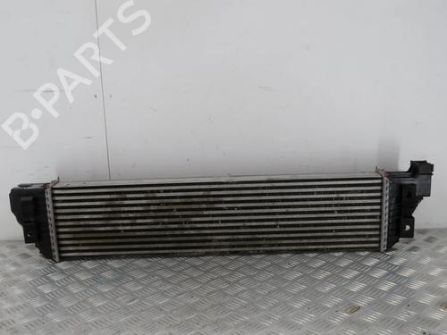 Intercooler RENAULT MASTER III Van (FV) 2.3 dCi 135 FWD (FV0N, FV08, FV06, FV00, FV1S) | BP32167680M30